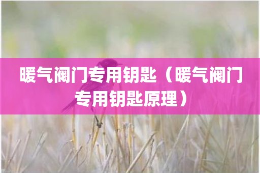 暖气阀门专用钥匙（暖气阀门专用钥匙原理）
