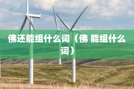 佛还能组什么词（佛 能组什么词）