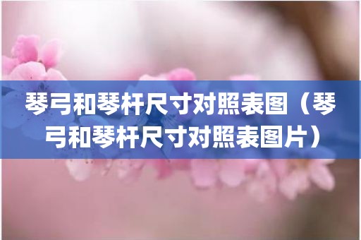 琴弓和琴杆尺寸对照表图（琴弓和琴杆尺寸对照表图片）