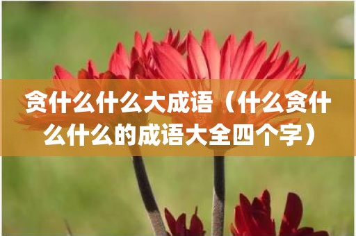 贪什么什么大成语（什么贪什么什么的成语大全四个字）