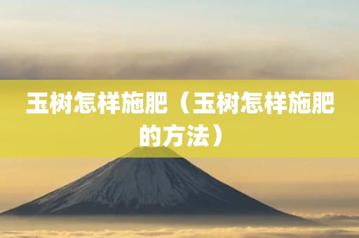 玉树怎样施肥（玉树怎样施肥的方法）