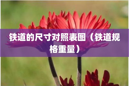 铁道的尺寸对照表图（铁道规格重量）
