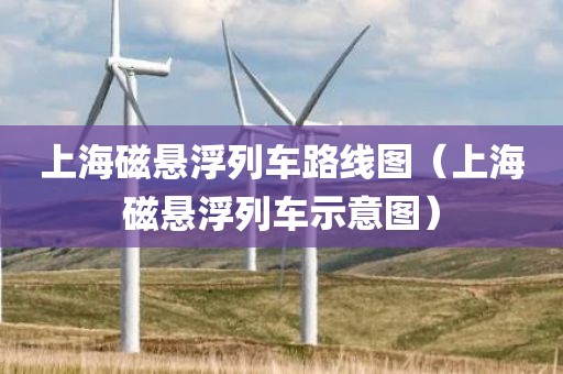 上海磁悬浮列车路线图（上海磁悬浮列车示意图）