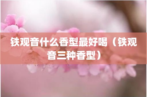 铁观音什么香型最好喝（铁观音三种香型）