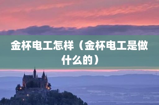 金杯电工怎样（金杯电工是做什么的）