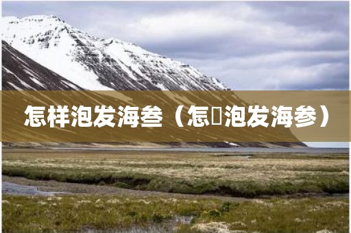 怎样泡发海叁（怎垟泡发海参）