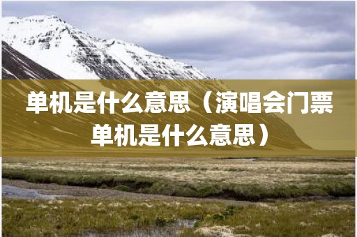 单机是什么意思（演唱会门票单机是什么意思）