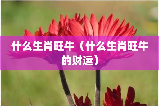 什么生肖旺牛（什么生肖旺牛的财运）