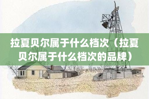 拉夏贝尔属于什么档次（拉夏贝尔属于什么档次的品牌）
