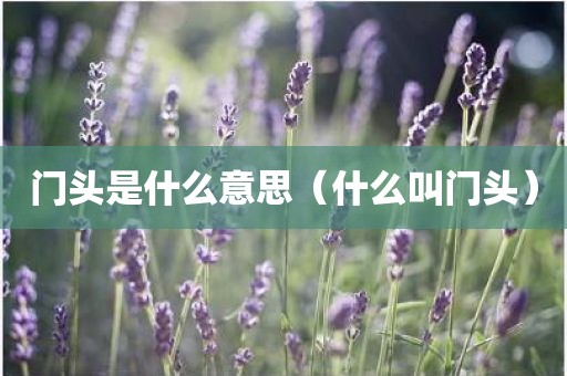 门头是什么意思（什么叫门头）