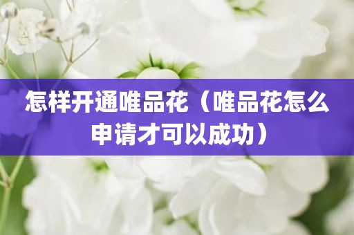 怎样开通唯品花（唯品花怎么申请才可以成功）