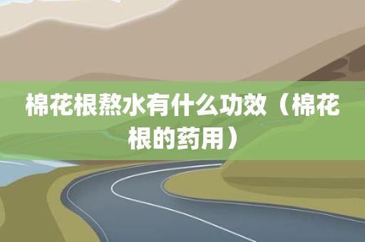 棉花根熬水有什么功效（棉花根的药用）