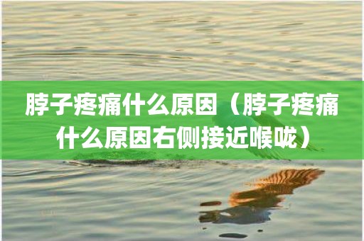 脖子疼痛什么原因（脖子疼痛什么原因右侧接近喉咙）