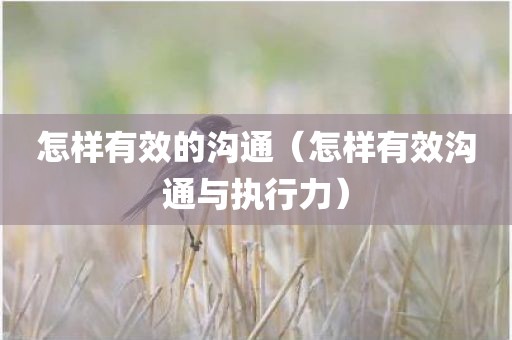 怎样有效的沟通（怎样有效沟通与执行力）