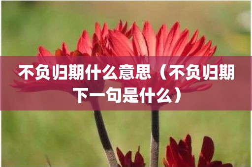不负归期什么意思（不负归期下一句是什么）