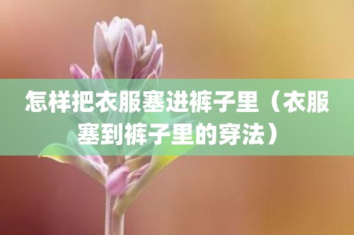 怎样把衣服塞进裤子里(衣服塞到裤子里的穿法) 怎样把衣服塞进裤子里(衣服塞到裤子里的穿法)