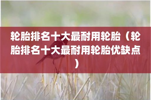 轮胎排名十大最耐用轮胎（轮胎排名十大最耐用轮胎优缺点）