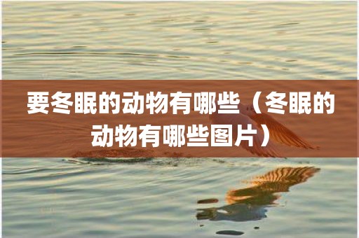 要冬眠的动物有哪些（冬眠的动物有哪些图片）