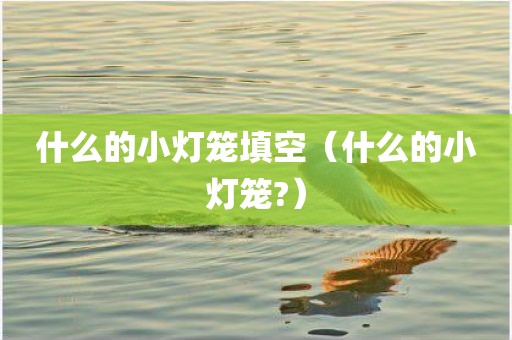 什么的小灯笼填空（什么的小灯笼?）