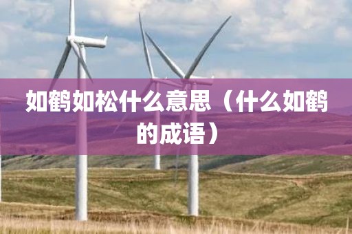 如鹤如松什么意思（什么如鹤的成语）