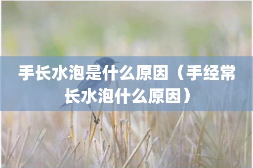 手长水泡是什么原因（手经常长水泡什么原因）