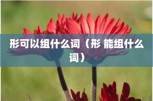 形可以组什么词（形 能组什么词）