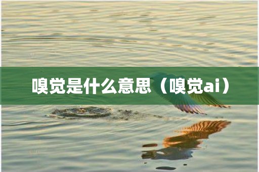 嗅觉是什么意思（嗅觉ai）