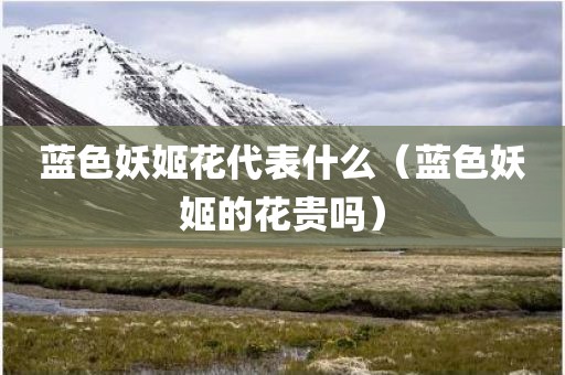 蓝色妖姬花代表什么（蓝色妖姬的花贵吗）