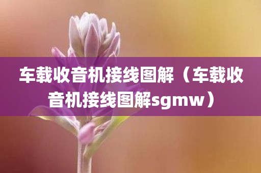车载收音机接线图解（车载收音机接线图解sgmw）