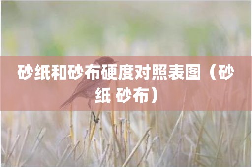 砂纸和砂布硬度对照表图（砂纸 砂布）