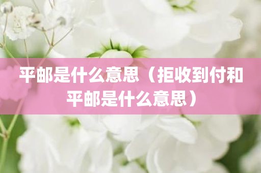 平邮是什么意思（拒收到付和平邮是什么意思）