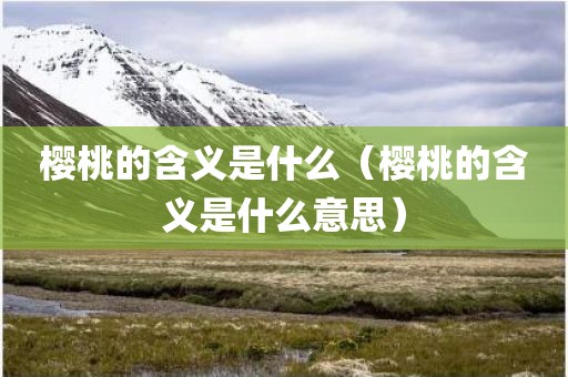 樱桃的含义是什么（樱桃的含义是什么意思）