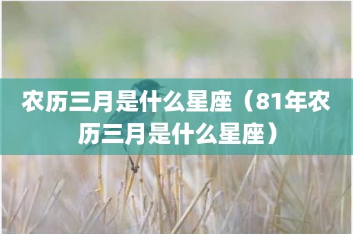 农历三月是什么星座(81年农历三月是什么星座)