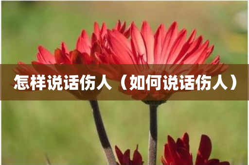 怎样说话伤人（如何说话伤人）