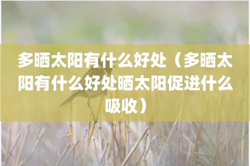 多晒太阳有什么好处（多晒太阳有什么好处晒太阳促进什么吸收）