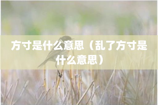 方寸是什么意思（乱了方寸是什么意思）