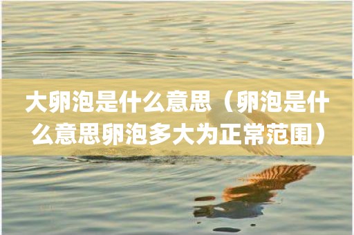 大卵泡是什么意思（卵泡是什么意思卵泡多大为正常范围）