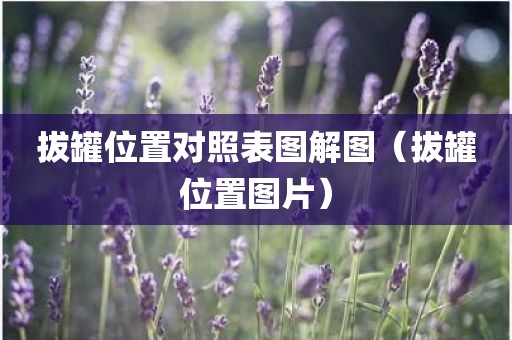 拔罐位置对照表图解图（拔罐位置图片）