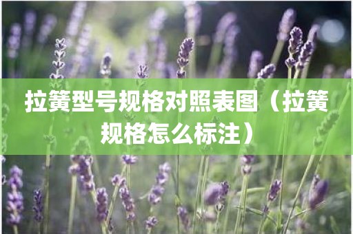 拉簧型号规格对照表图（拉簧规格怎么标注）