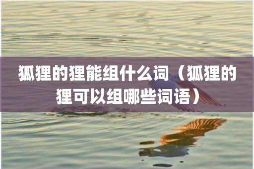 狐狸的狸能组什么词（狐狸的狸可以组哪些词语）
