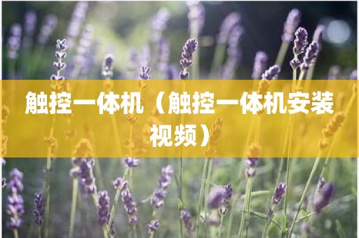触控一体机（触控一体机安装视频）