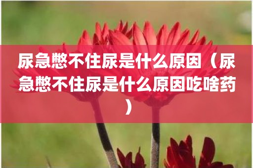尿急憋不住尿是什么原因（尿急憋不住尿是什么原因吃啥药）