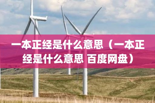 一本正经是什么意思（一本正经是什么意思 百度网盘）