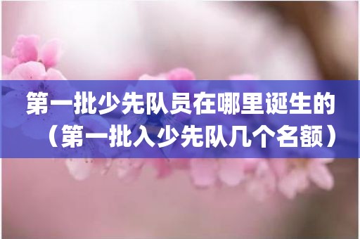 第一批少先队员在哪里诞生的（第一批入少先队几个名额）