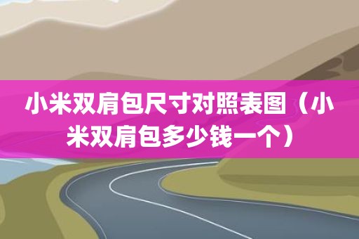 小米双肩包尺寸对照表图（小米双肩包多少钱一个）