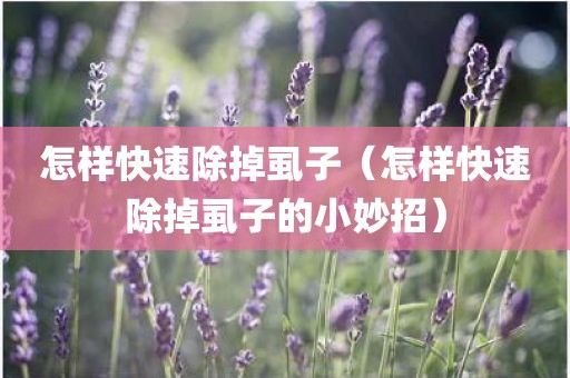 怎样快速除掉虱子（怎样快速除掉虱子的小妙招）