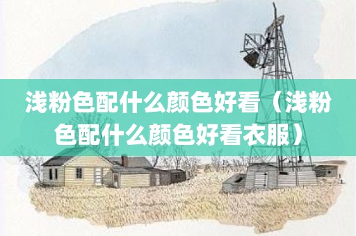 浅粉色配什么颜色好看（浅粉色配什么颜色好看衣服）
