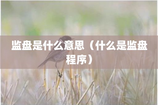 监盘是什么意思(什么是监盘程序)
