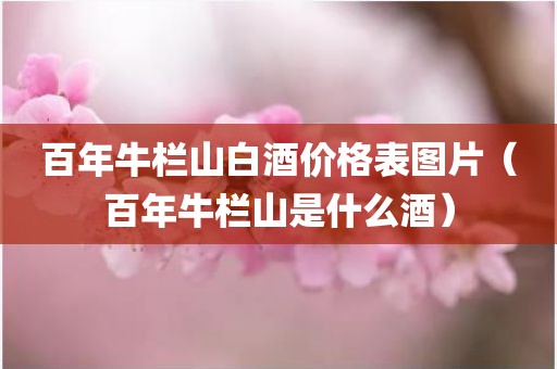 百年牛栏山白酒价格表图片(百年牛栏山是什么酒)