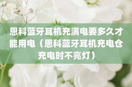 恩科蓝牙耳机充满电要多久才能用电（恩科蓝牙耳机充电仓充电时不亮灯）